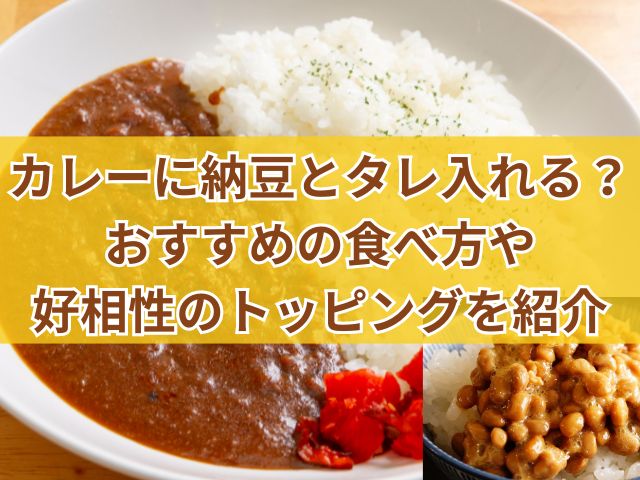 カレーに納豆とタレ入れる？おすすめの食べ方や好相性のトッピングを紹介